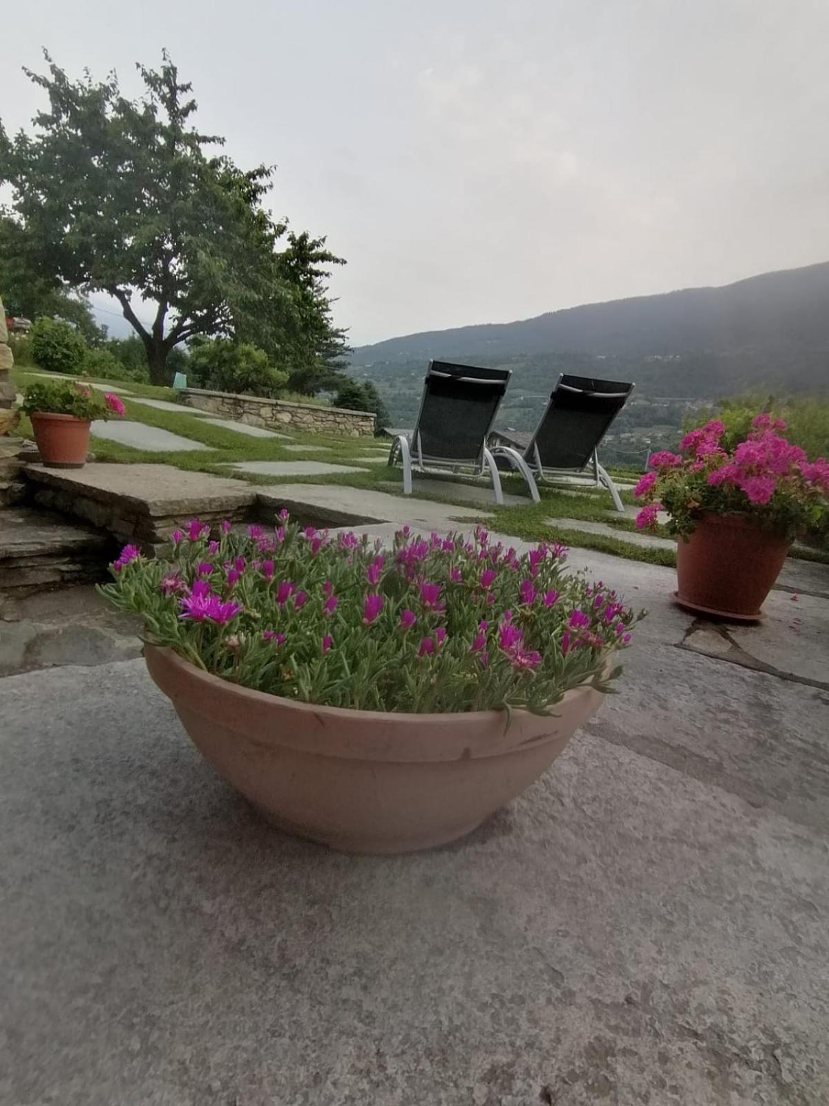 Mini House Valle D'Aosta Roisan المظهر الخارجي الصورة