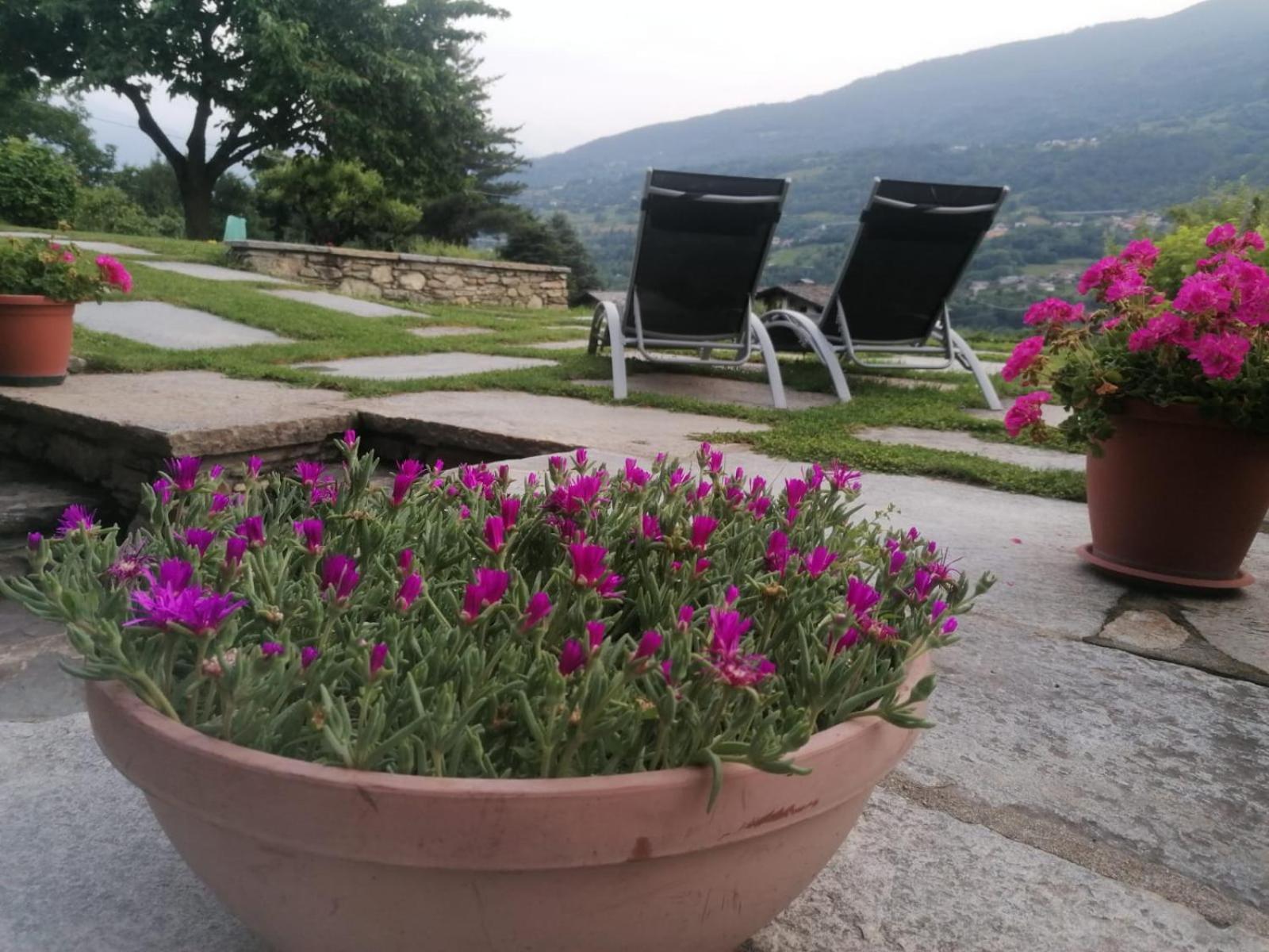 Mini House Valle D'Aosta Roisan المظهر الخارجي الصورة